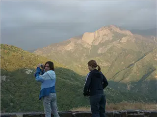 small_040521 caPICT4743.webp